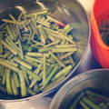 rukisun's cooksnap of when they made きゃらぶき用の野ぶきの下茹＆処理♪.