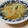 快くん's cooksnap of when they made 新玉ねぎで…母の日のお花のスープ.