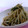 ピンクのたまご's cooksnap of when they made 焼肉のタレで　ニラともやしのナムル.