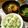 iqumin's cooksnap of when they made しょうが菜飯.
