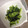 やまととひろと's cooksnap of when they made 簡単中華風小松菜のおひたし〜！.