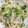 あやこぉ。's cooksnap of when they made 簡単☆茹でて混ぜるだけ！もやしの中華和え.