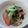 ちー・あやぽん's cooksnap of when they made 和みの味☆イナダ大根の煮物.