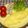 Satoco❋'s cooksnap of when they made プレーンオムレツ.