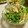 時花菜's cooksnap of when they made 鶏皮と水菜の梅おかか和え.