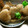 oyukidesu's cooksnap of when they made 筍と蒟蒻の甘辛煮で炊き込みご飯.