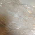 それいゆ★'s cooksnap of when they made 春雨を戻す前に切っちゃお！.