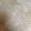 それいゆ★'s cooksnap of when they made 春雨を戻す前に切っちゃお！.