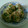 ☆Yukipi☆'s cooksnap of when they made 桜エビと菜の花の混ぜご飯＆おにぎり.