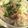 薬味PAD's cooksnap of when they made アジアンなアジのたたき！.