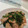 かおりんぱんだ's cooksnap of when they made 鶏肉と菜の花の炒め物.