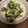 天照嫁's cooksnap of when they made 超簡単！ほうれん草とシーチキンコーン炒め.