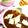 ぽむぽむ★'s cooksnap of when they made 簡単！我が家の定番カレー.