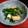 うめこ＆りゅうのすけ's cooksnap of when they made ✿わけぎと油揚げの炒めもの♪✿.