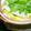 ゆりー1991's cooksnap of when they made かつお節屋の湯豆腐.