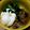 そにっこ's cooksnap of when they made ねばねば丼.