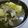 りんばたまま's cooksnap of when they made スパイスでぽかぽか☆カレースープ.