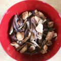 はらぞぅ's cooksnap of when they made ごぼうとこんにゃくの甘辛煮.