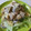 Bランチ★'s cooksnap of when they made さつまいもと柿のスイートサラダ.