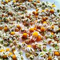 まりー♪♪'s cooksnap of when they made 自家製ハーブティー.