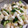 わんめぐ's cooksnap of when they made 簡単あっさり☆なが芋ときゅうりの梅和え.
