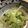うんらいまつ's cooksnap of when they made レタスのカキソース炒め.