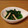 MIKIvMIKI's cooksnap of when they made 豚肉と春菜と舞茸炒め.