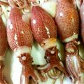 mimi☆ko's cooksnap of when they made ホタルイカのお掃除☆.