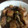 のかおりさん's cooksnap of when they made ご飯がススむ！鶏と人参と筍のみぞれ煮.