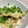 まゆまわた's cooksnap of when they made さにパンの簡単おかず★エリンギの梅和え★.