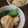 maraisさん's cooksnap of when they made 一口がんもと小松菜の煮浸し.