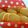 Shiki色's cooksnap of when they made サクホロ！カルピスソフトの米粉クッキー.