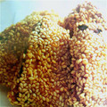 エリンギー太郎's cooksnap of when they made さけのごま衣揚げ.