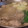 まゆじ's cooksnap of when they made 秋刀魚のつみれ.