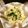 タロウチ's cooksnap of when they made ニラと豆腐のフルフル.
