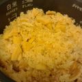 エルミー☆'s cooksnap of when they made 鶏肉の入った、たけのこごはん.