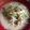 ⑤児の母's cooksnap of when they made 余った餃子の具で・・もやしラーメン.