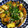 koroo16's cooksnap of when they made お弁当にも♪厚揚げとなすの照り焼き.