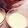 northtai1's cooksnap of when they made *究極のとろ～りプリン風クレ～ム*.