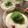 トクライ's cooksnap of when they made トマトジュレde長芋と胡瓜の冷菜.
