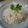まほじょ's cooksnap of when they made 白滝の明太子炒め.