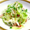 ことっちゃん's cooksnap of when they made 簡単大根とレタスとかにかまサラダ.