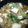 ぱなずきん's cooksnap of when they made 豆腐と水菜のあっというま煮.
