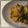 Qookoocoo's cooksnap of when they made 春の肉じゃが♪ 新じゃがと豚バラの甘辛煮.