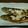 ゆかえもン's cooksnap of when they made ニジマスのアーモンドバターソース.