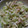 やまのてマダム's cooksnap of when they made セロリとちくわのさっぱりマヨネーズ和え♪.