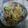 eri1mi's cooksnap of when they made スルメいかと春キャベツの炒めもの.