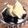 のりひこのりこ's cooksnap of when they made 簡単なコーヒーゼリーの作り方(^。^).