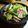 jumborg7's cooksnap of when they made ☆オクラとベーコンとエリンギの炒め物☆.