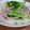 こひよこ's cooksnap of when they made ホっと優しい〜蕪のクリーム煮.